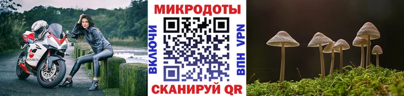 Купить закладки  Кирс  Псилоцибиновые грибы прущие грибы 